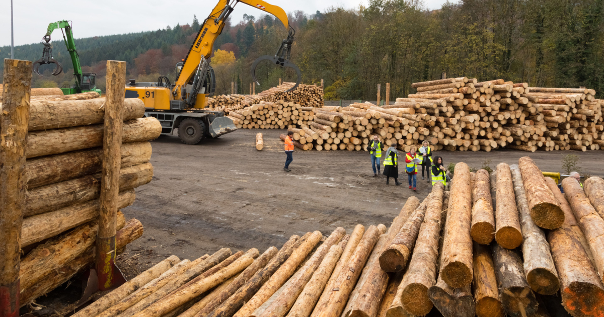 Utilisation de la sciure de bois  Paysages et Bois d'Alsace - Brumath &  Vendenheim